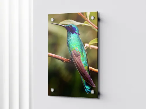 Decorative acrylic signage with custom designs and a modern, sleek finish. Durable and perfect for enhancing indoor spaces with a stylish touch