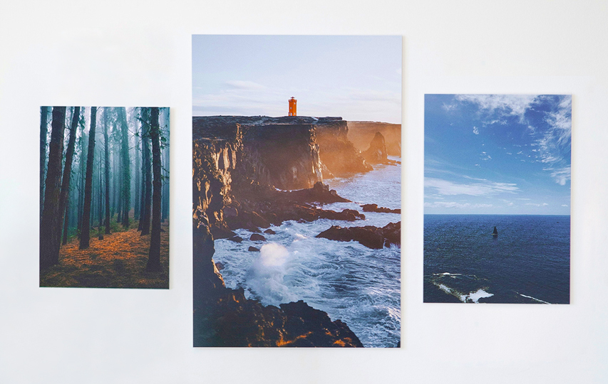 Nature Triptych Metal Photo Print