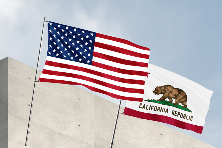 Two American Pole Flags